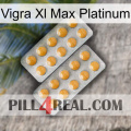 Vigra Xl Max Platinum levitra2